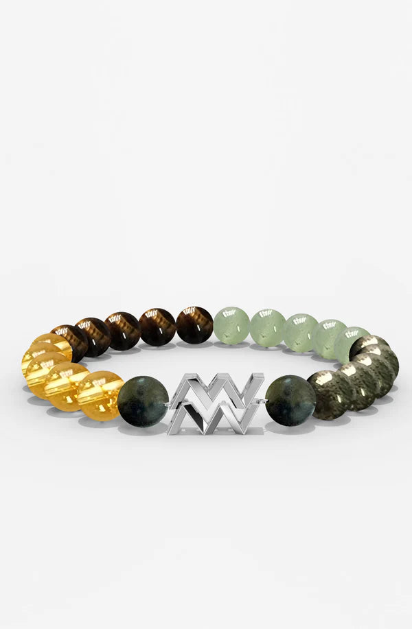 Sterling Silver Aquarius Money Magnet Bracelet For Men