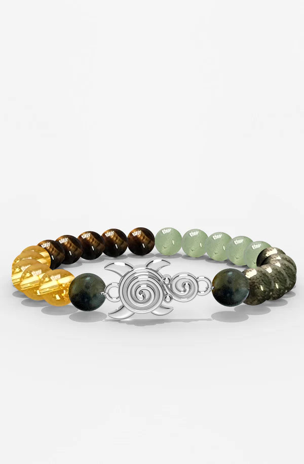 Sterling Silver Turtle Money Magnet Bracelet For Men