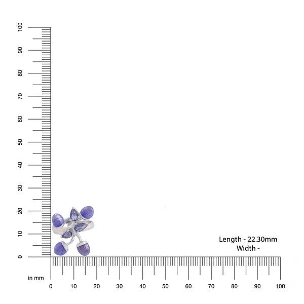 Color Me Pretty and Iolite 925 Sterling Silver Ring For Women