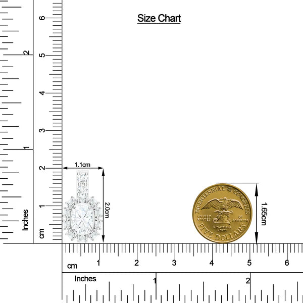 Classic Moissanite 925 Sterling Silver Earrings For Women