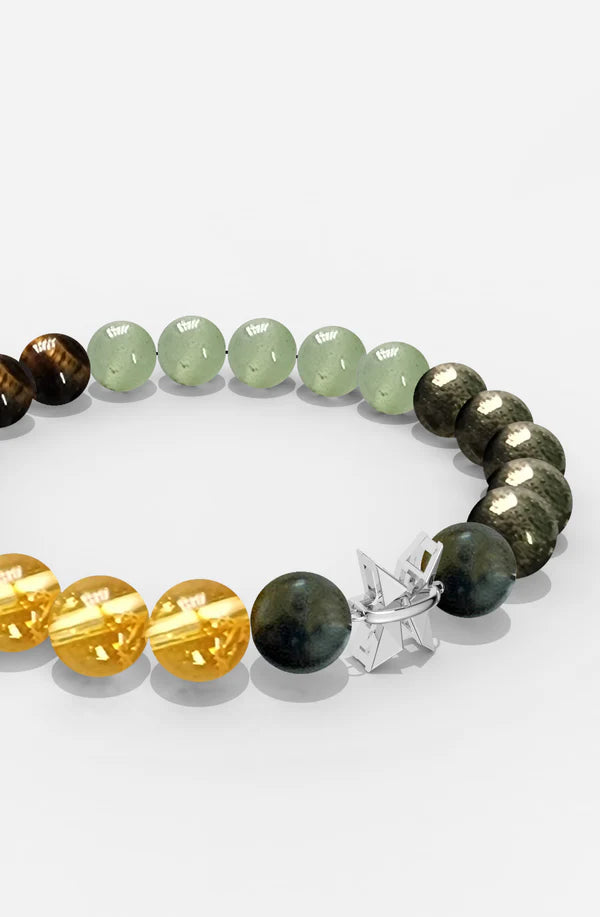 Sterling Silver Pisces Money Magnet Bracelet For Men