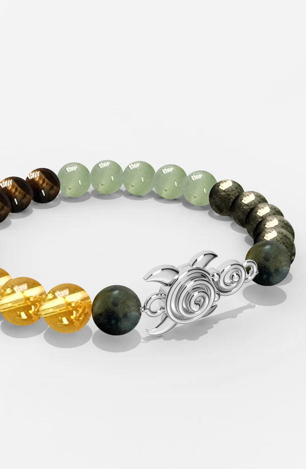 Sterling Silver Turtle Money Magnet Bracelet For Men